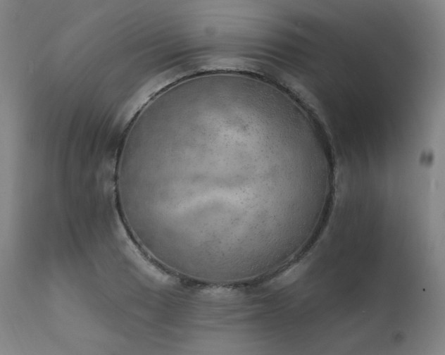 X0000111801033200907231205