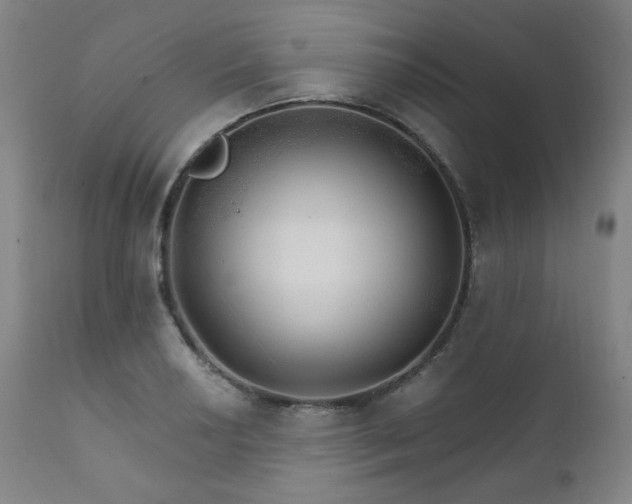 X0000111801034200907231205