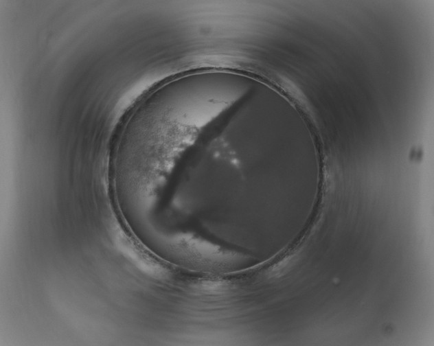 X0000111801035200907231205