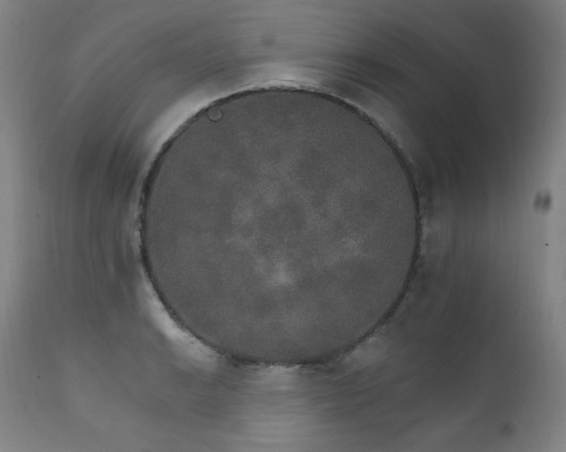 X0000111801038200907231205