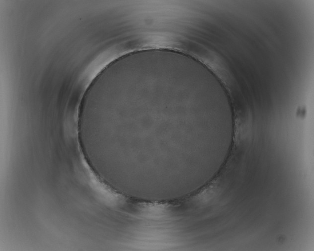 X0000111801039200907231205