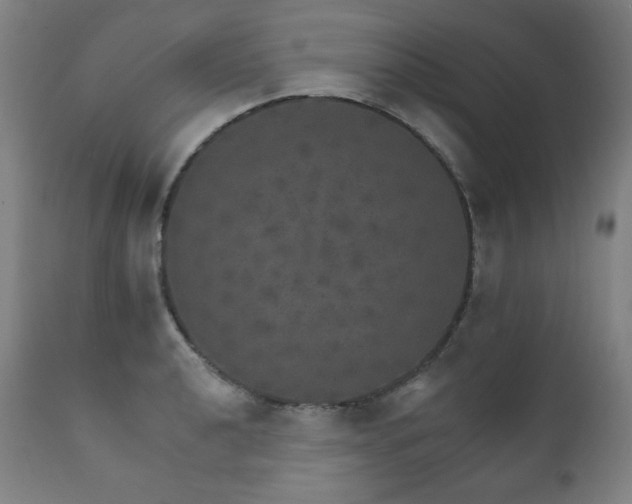 X0000111801040200907231205