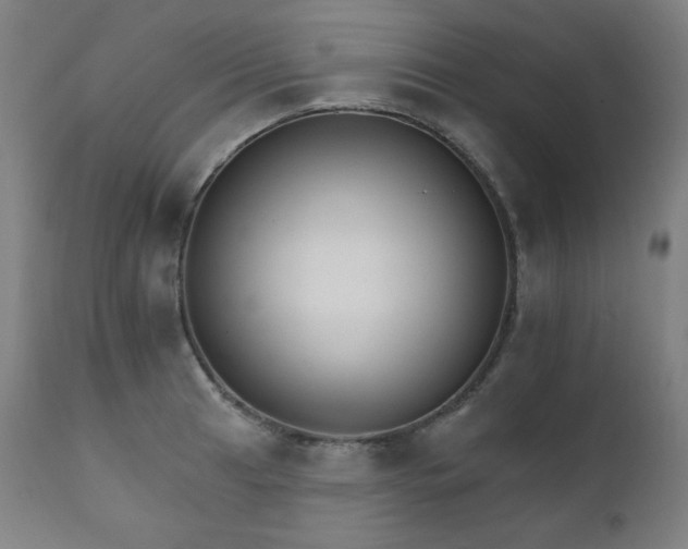 X0000111801041200907231205