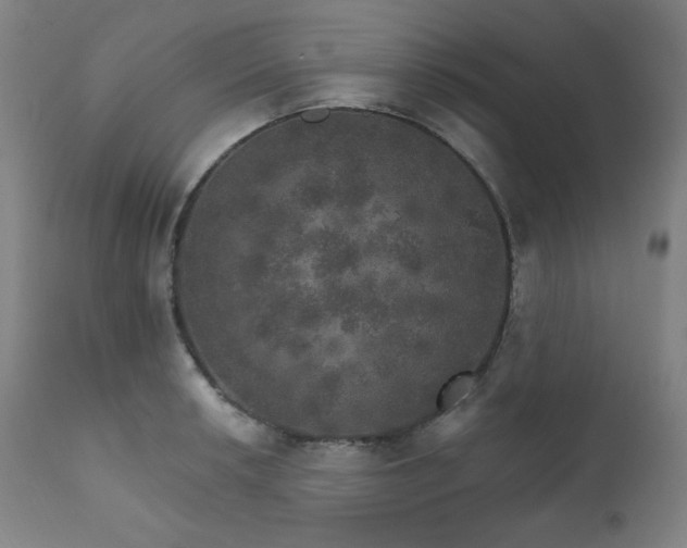 X0000111801042200907231205
