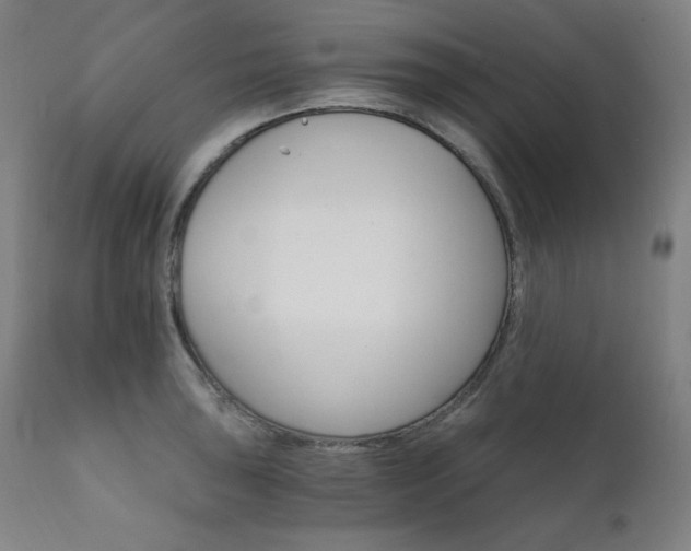 X0000111801043200907231205