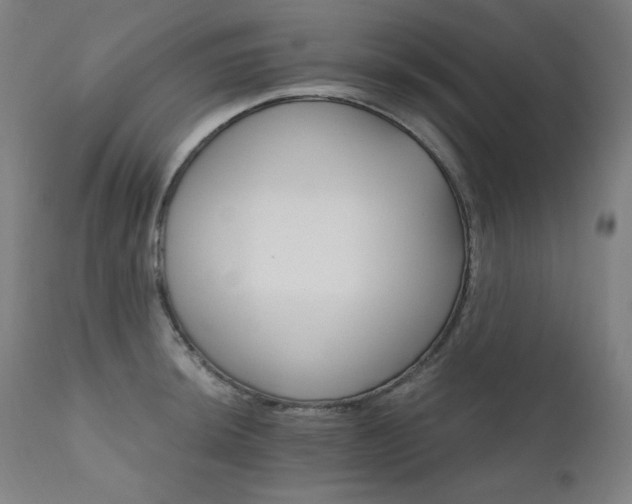 X0000111801044200907231205