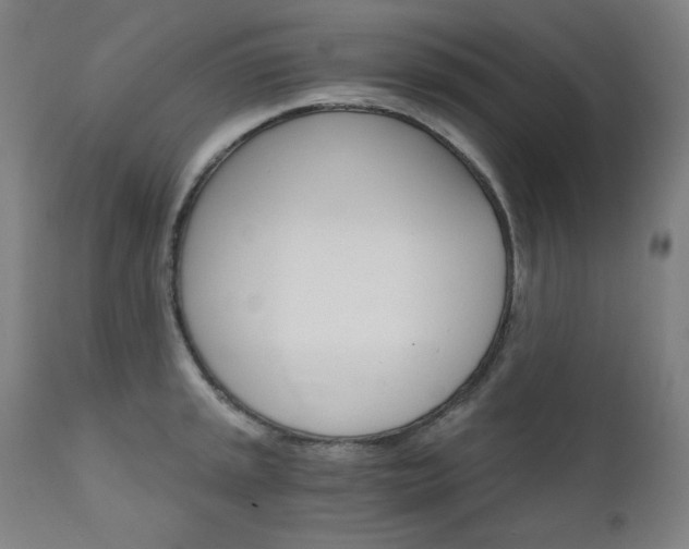 X0000111801045200907231205