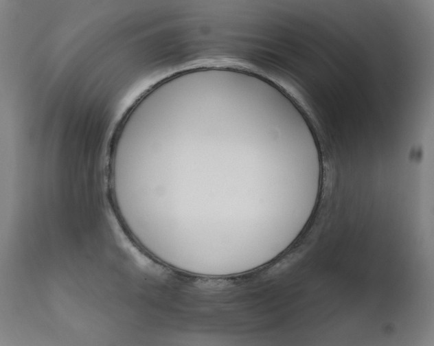 X0000111801046200907231205