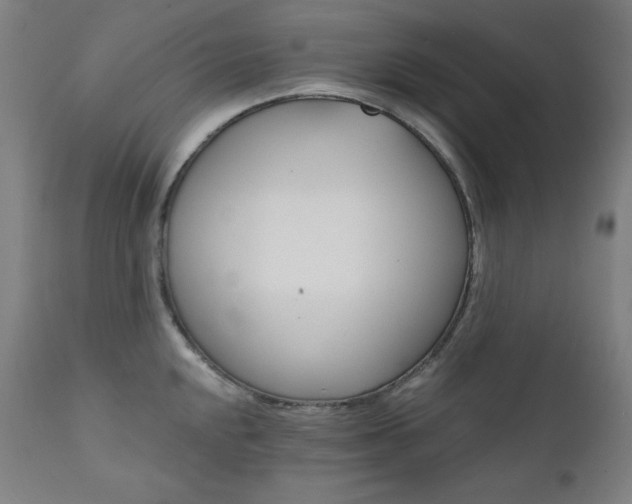 X0000111801048200907231205