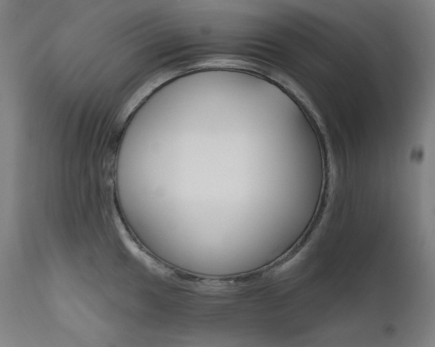 X0000111801049200907231205