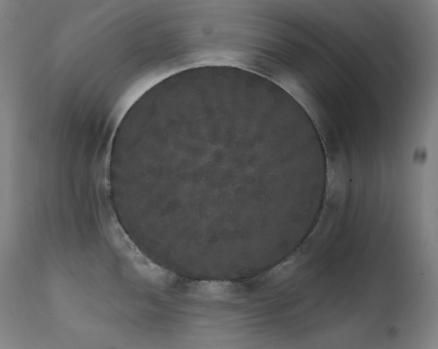X0000111801052200907231205