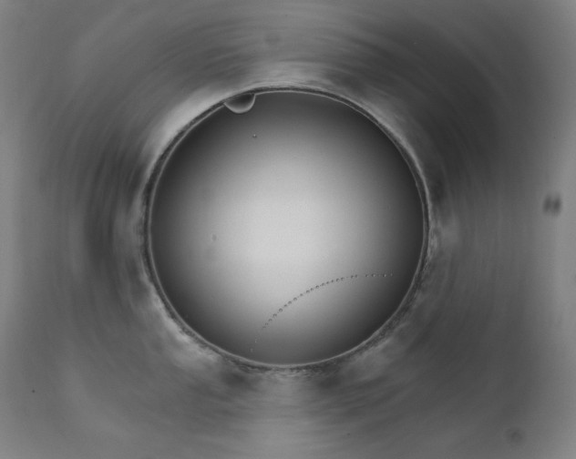X0000111801053200907231205