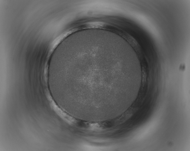 X0000111801054200907231205