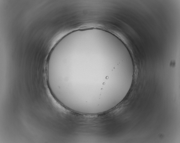 X0000111801055200907231205