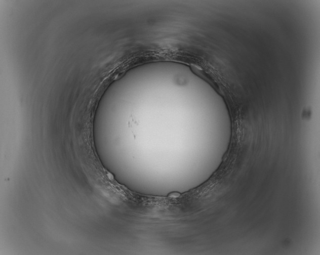 X0000111801057200907231204