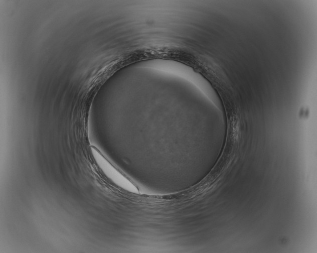 X0000111801060200907231204