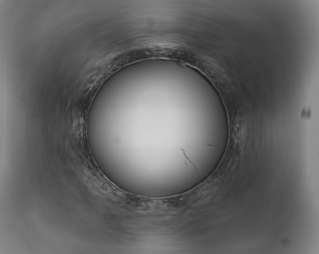 X0000111801061200907231204