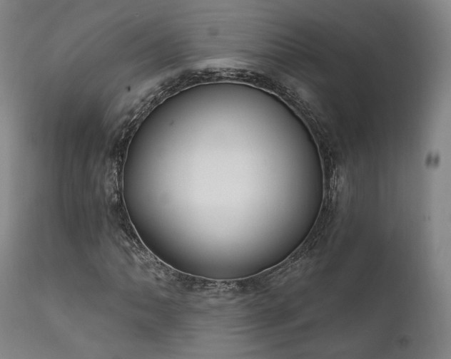 X0000111801062200907231204