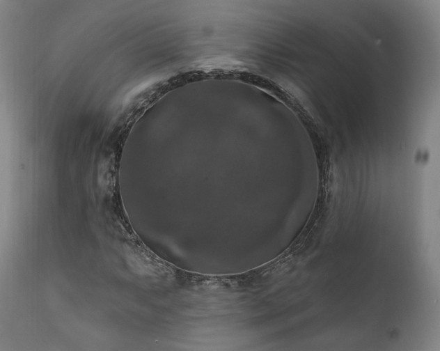 X0000111801063200907231204