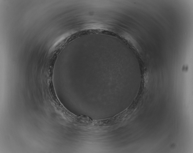 X0000111801064200907231204