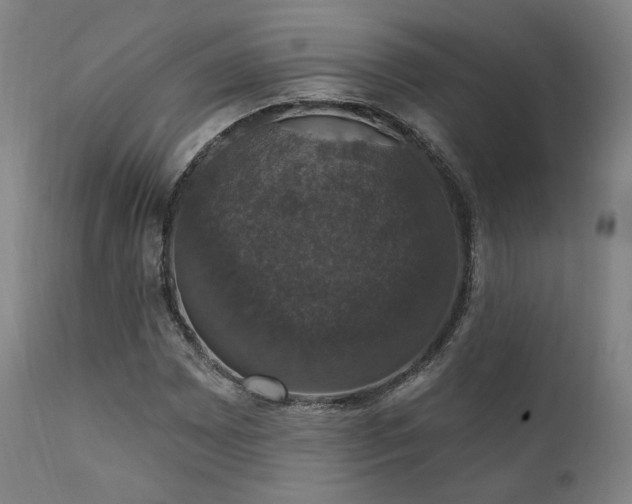 X0000111801065200907231204