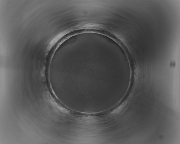 X0000111801066200907231204