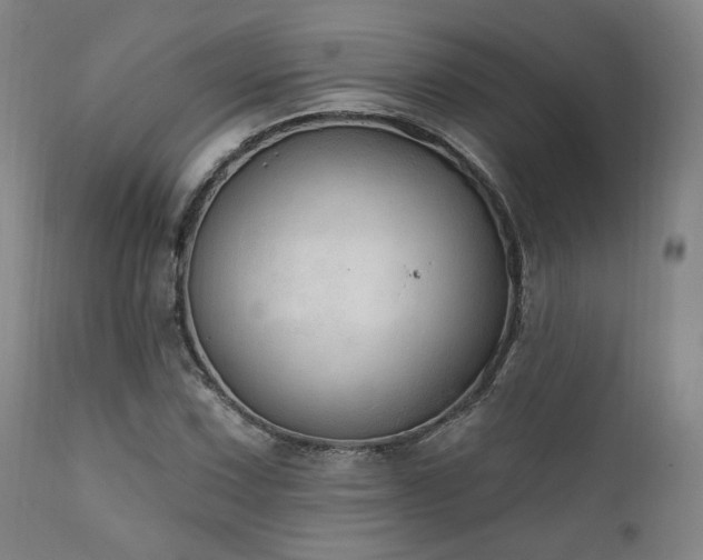 X0000111801067200907231204
