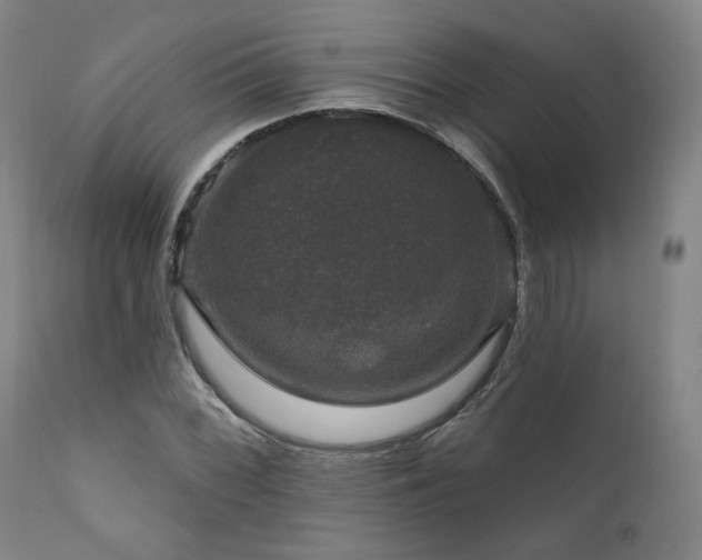 X0000111801068200907231204