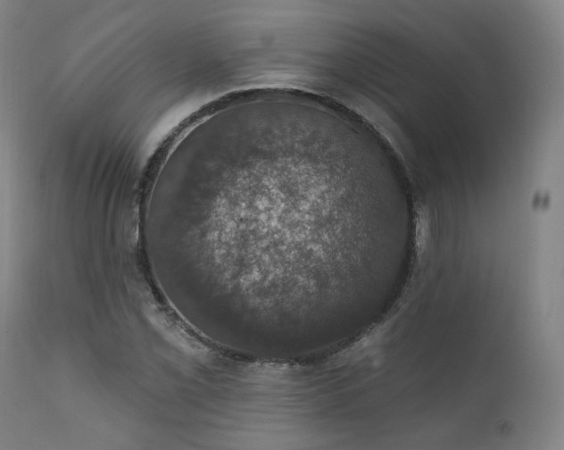 X0000111801069200907231204