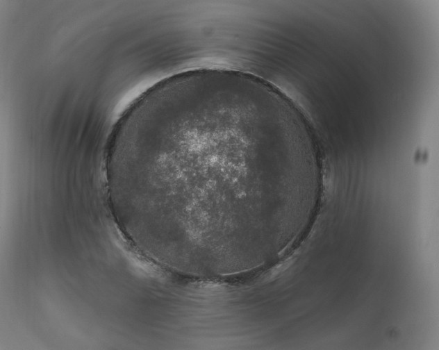X0000111801070200907231204