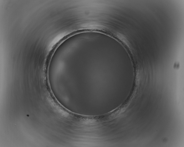 X0000111801071200907231204