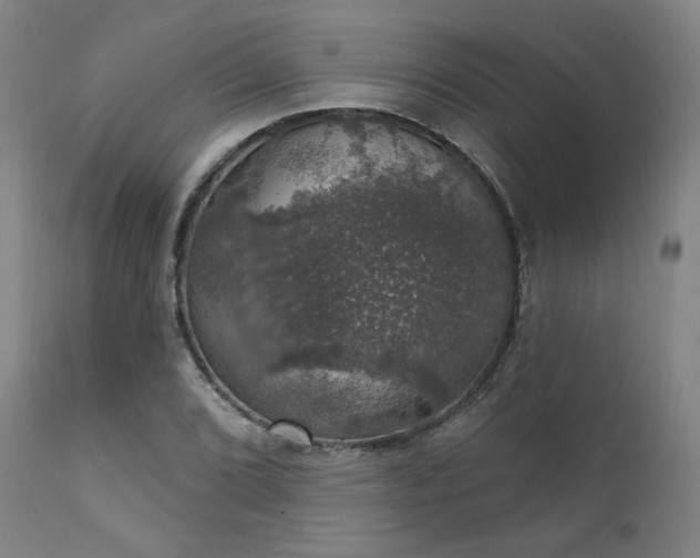 X0000111801072200907231204