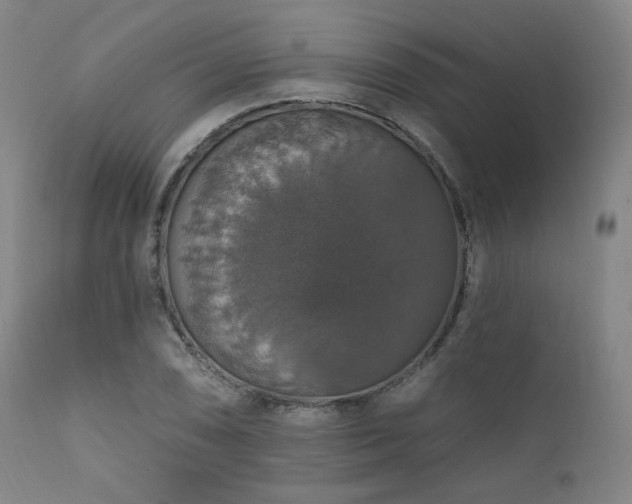 X0000111801074200907231204