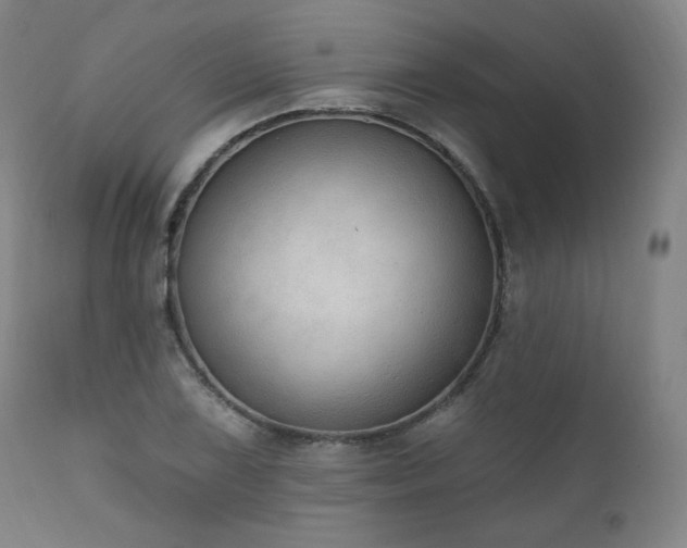 X0000111801075200907231204
