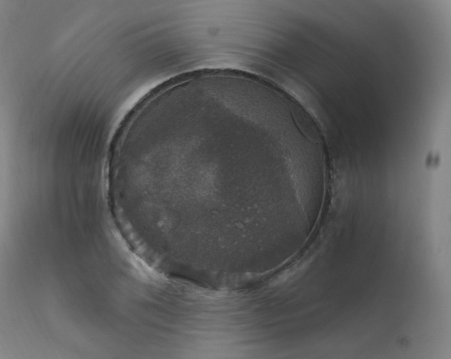 X0000111801076200907231204