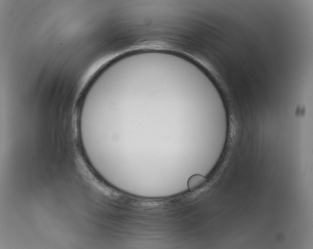 X0000111801078200907231204
