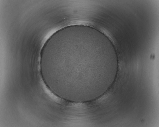 X0000111801079200907231204