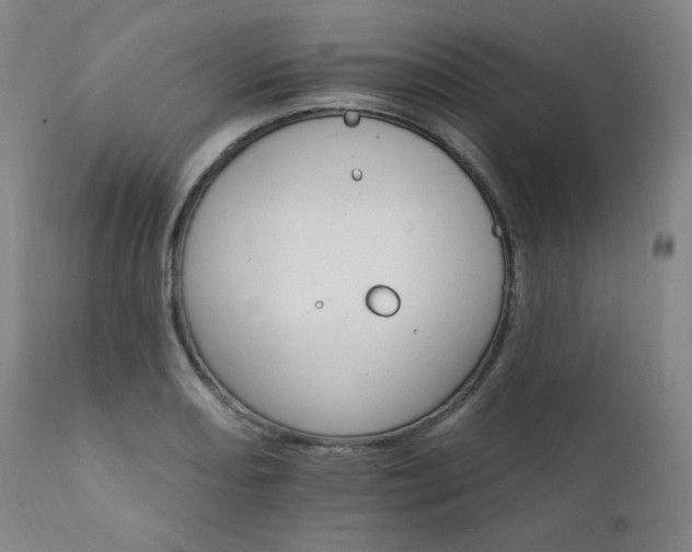 X0000111801082200907231204