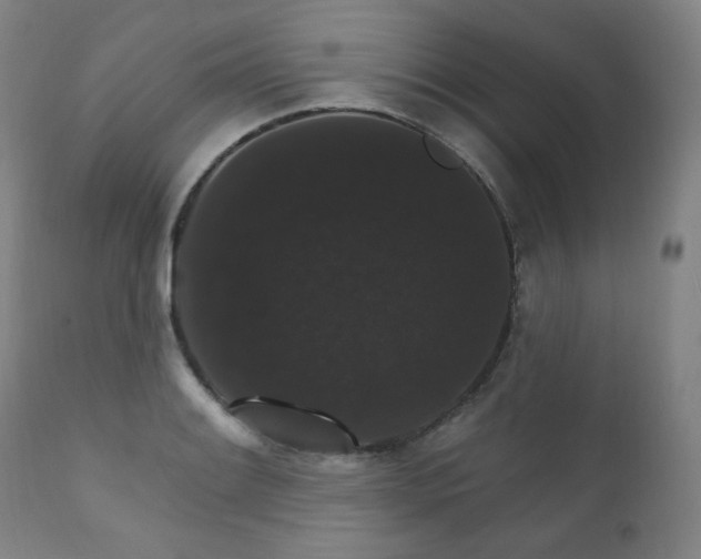 X0000111801084200907231204
