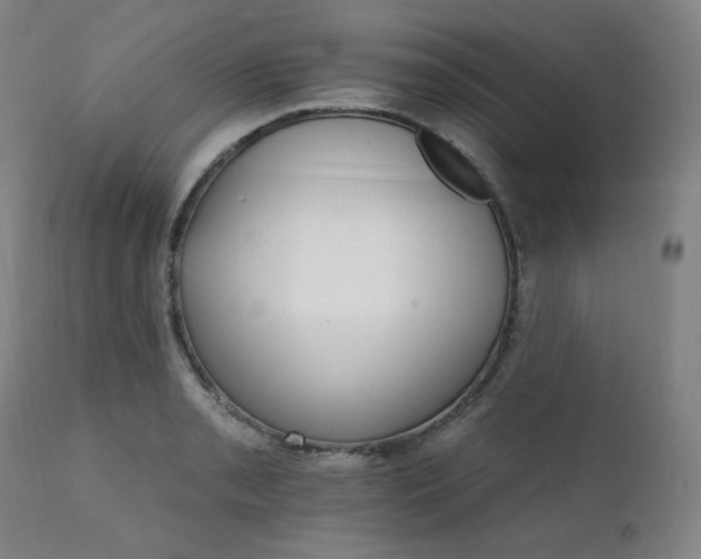 X0000111801085200907231204