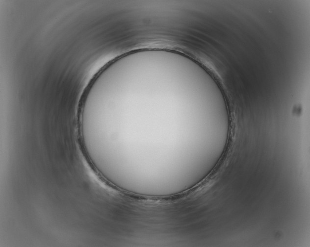 X0000111801087200907231204