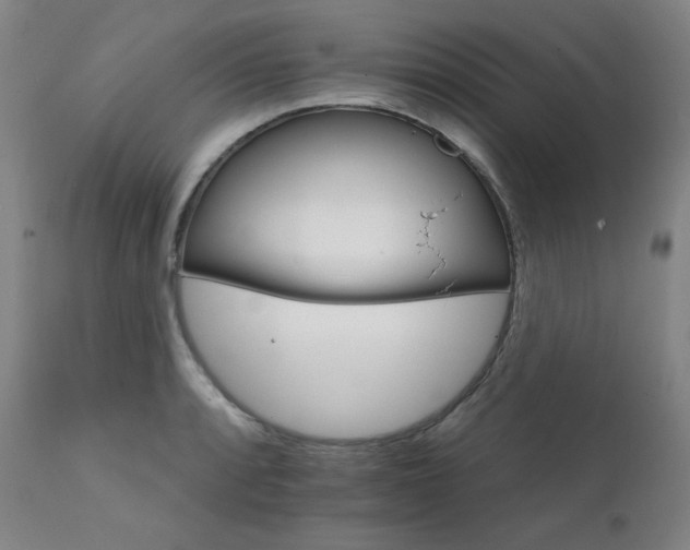 X0000111801088200907231204