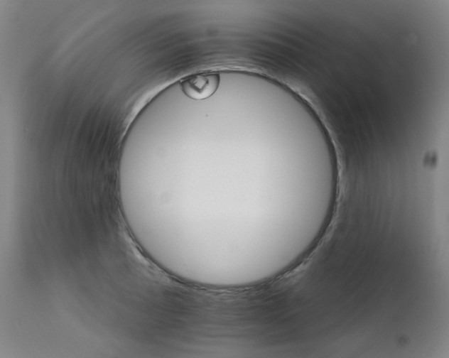 X0000111801089200907231204