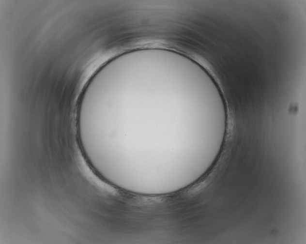 X0000111801090200907231204