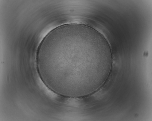 X0000111801091200907231204