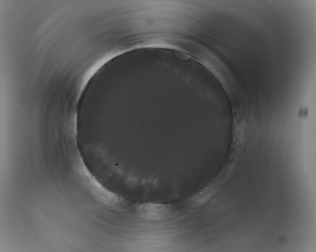 X0000111801092200907231204