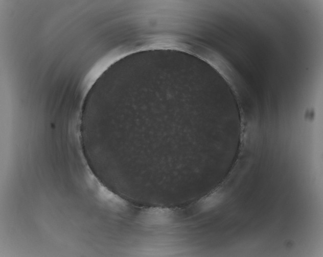 X0000111801094200907231204