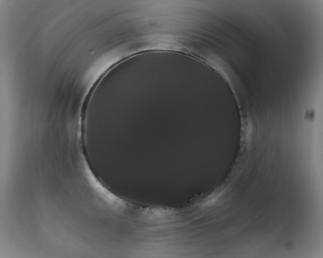 X0000111801095200907231204