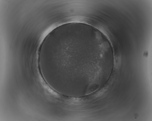X0000111801096200907231204