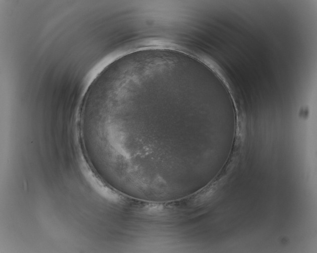 X0000111801098200907231204